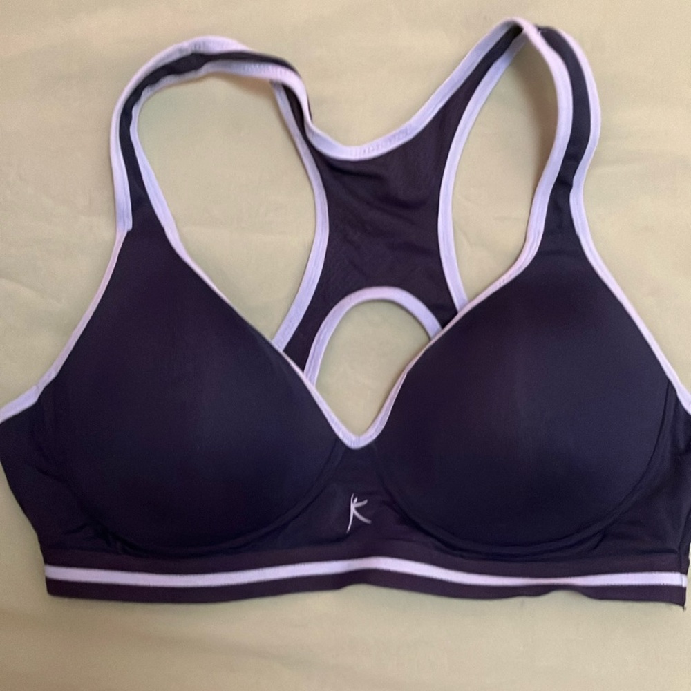 Danskin Now White and Blue Sports Bra with Molded Cups